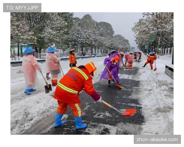圣保利主场动员志愿者除雪,应对暴雪天气保障比赛进行 圣保利主场动员志愿者除雪,应对暴雪天气保障比赛进行